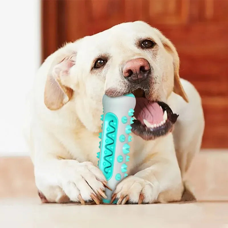 Juguete Dental para Perros