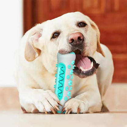 Juguete Dental para Perros