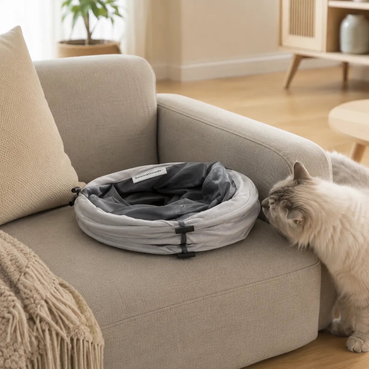 Un refugio plegable para que tu gato juegue y descanse