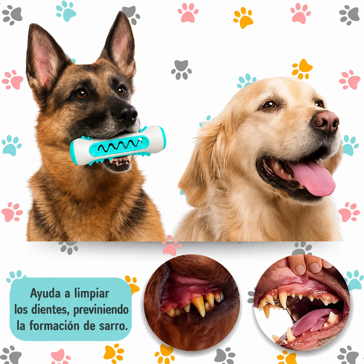 Juguete Dental para Perros