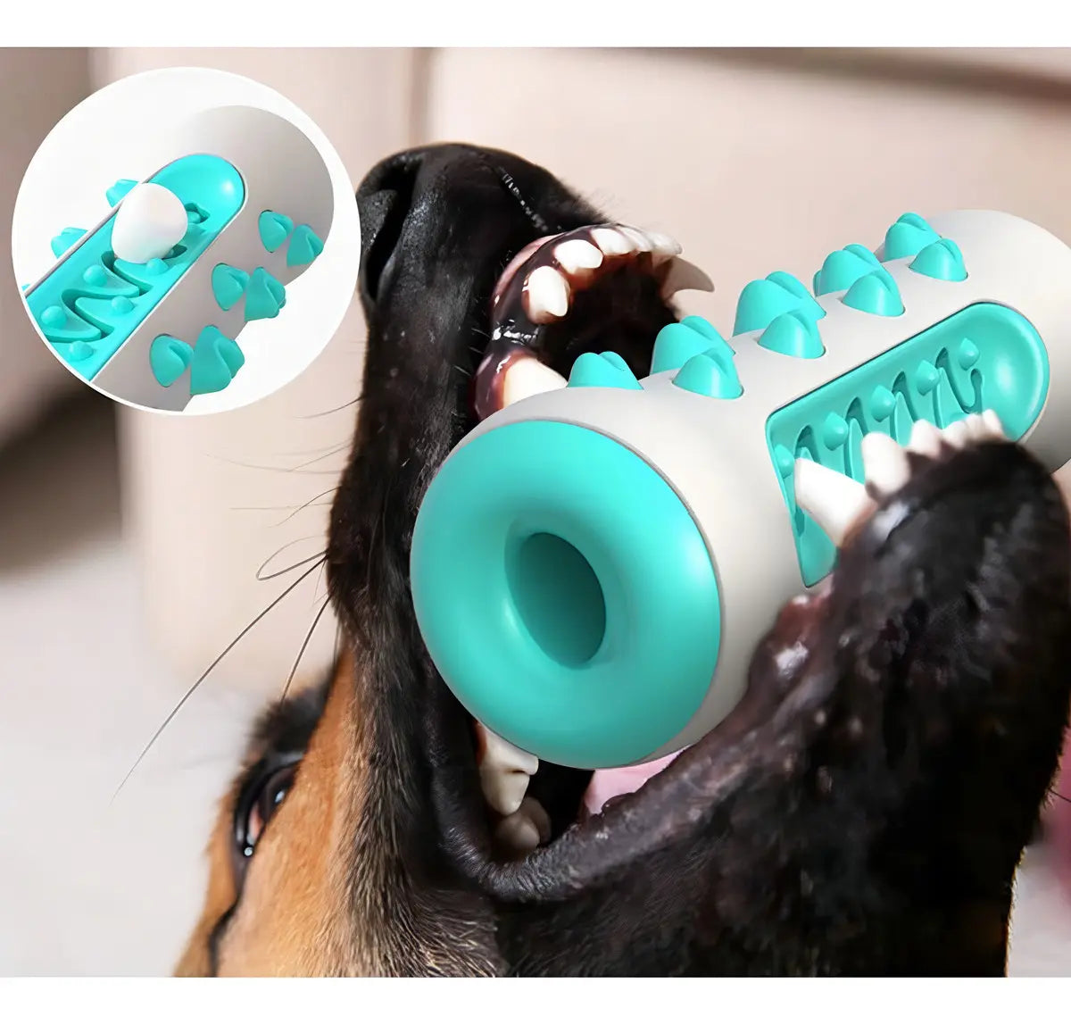 Juguete Dental para Perros