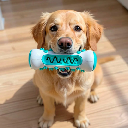 Juguete Dental para Perros