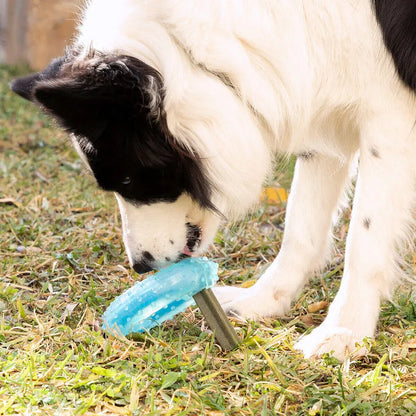 Mordedor Congelable para Perros