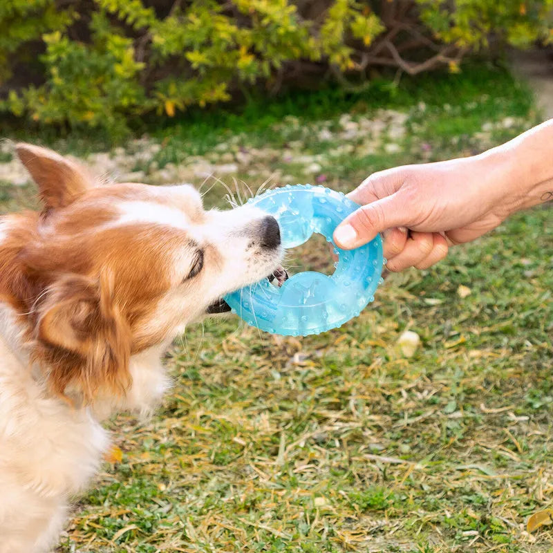 Mordedor Congelable para Perros